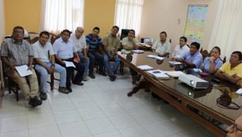 San Mart&iacute;n: Ante la presencia del A&ntilde;ublo Bacteriano, proponen declarar en emergencia fitosanitaria cultivos de arroz