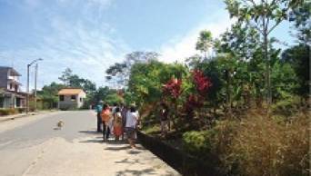 San Mart&iacute;n: Invasi&oacute;n de zancudos amenaza con posible brote del zika en la Urbanizaci&oacute;n Fonavi, del distrito de  Morales , en Tarapoto