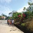 San Mart&iacute;n: Invasi&oacute;n de zancudos amenaza con posible brote del zika en la Urbanizaci&oacute;n Fonavi, del distrito de  Morales , en Tarapoto - Algunas personas comenzaron a presentar fiebre, por lo que la poblaci&oacute;n exige a las autoridades de salud tomen cartas en el asunto antes que sea demasiado tarde