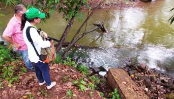Vertimiento de aguas residuales est&aacute;n contaminando la laguna del Sauce "Laguna Azul", en  Tarapoto, regi&oacute;n San Mart&iacute;n