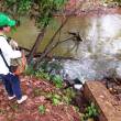 Vertimiento de aguas residuales est&aacute;n contaminando la laguna del Sauce "Laguna Azul", en  Tarapoto, regi&oacute;n San Mart&iacute;n - Advirti&oacute; el OEFA, tras constatar inadecuado tratamiento de esas aguas en las pozas de oxidaci&oacute;n de la planta de tratamiento ubicada en Machunguillo