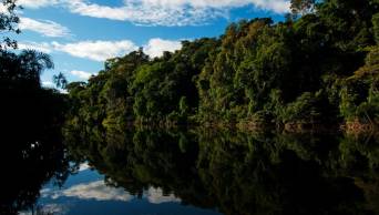 Ministerio del Ambiente reconoce el �rea de Conservaci&oacute;n Privada Aurora ubicado en Loreto