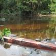 Exigen atenci&oacute;n inmediata e indemnizaci&oacute;n para poblaci&oacute;n ind&iacute;gena afectada por derrames petroleros en Amazonas y Loreto - Defensor del Pueblo se&ntilde;ala que se debe garantizar la provisi&oacute;n del agua y alimentos porque los existentes en la zona se encuentran contaminados.