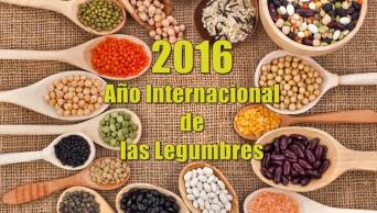 Crean Comisi&oacute;n Multisectorial del A&ntilde;o Internacional de las Legumbres 2016, que preside el Ministerio de Agricultura y Riego (MINAGRI)