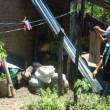 Brigadistas realizan control y vigilancia larvario en m&aacute;s de 36 mil viviendas  de Tarapoto, Morales y Banda Shilcayo - Red de Salud de San Mart&iacute;n busca eliminar posibles criaderos del zancudo que transmite el Dengue, Chikungunya y el Zika,  en jornada casa por casa