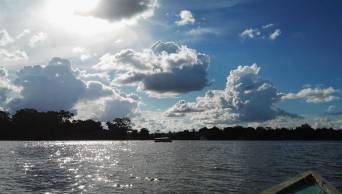 UCAYALI: Aventura natural en Yarinacocha
