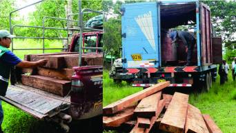 Satipo: Durante operativo Serfor interviene 2 veh&iacute;culos que transportaban madera ilegal con destino a Lima