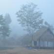 Desde hoy y hasta el domingo 13 se registrar&aacute; primer friaje del a&ntilde;o en la selva, con lluvias de moderada a fuerte intensidad - Las regiones m&aacute;s afectadas ser&iacute;an San Mart&iacute;n, Loreto, Hu&aacute;nuco, Ucayali, Pasco, Jun&iacute;n, Cusco, Madre de Dios, Huancavelica, Ayacucho y Puno