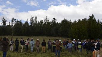 Jauja: Gobierno Regional de Jun&iacute;n impulsar&aacute; el mega proyecto forestal  denominado "Sierra Verde Regional"