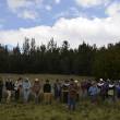 Jauja: Gobierno Regional de Jun&iacute;n impulsar&aacute; el mega proyecto forestal  denominado "Sierra Verde Regional" - Gobernador regional toma firme decisi&oacute;n por el medio ambiente, tras encabezar jornada de poda de bosque de pino junto a comunidades del entorno