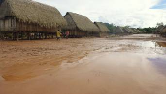 Loreto: Desborde del r&iacute;o Pisqui afecta a cerca de 20 comunidades ind&iacute;genas y mestizas de Contamana, en la provincia de Ucayali