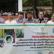 Plantaciones de caoba en la Amazon&iacute;a peruana amenazadas por �Polilla Barrenadora� - 