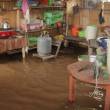 Fuertes lluvias y vientos dejan 51 viviendas afectadas en Moyobamba - 