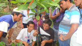 Lamas: Agro Rural financiar&aacute; planes de negocios por m&aacute;s de 900 mil soles en beneficio de 24 organizaciones agrarias