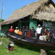 Ucayali: Fuerzas conjuntas ejecutaron operativo contra tala ilegal en la comunidad nativa Alto Tamaya-Saweto - Estas acciones permitieron ubicar y destruir un campamento maderero ilegal en la zona denominada "Mashansho", cerca al r&iacute;o Tamaya, se inform&oacute;