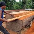 Ministerio de la Producci&oacute;n  busca elevar oferta de madera en San Mart&iacute;n, Hu&aacute;nuco y Madre de Dios - Titular del Produce se&ntilde;ala que la inversi&oacute;n comprometida en el sector Forestal, pr&oacute;ximo a activarse, alcanza los 1,400 millones de d&oacute;lares