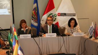Primera Reuni&oacute;n del Grupo de Expertos sobre Desarrollo Alternativo Integral y Sostenible de la OEA se realiza hoy y ma&ntilde;ana, en Lima y Tingo Mar&iacute;a