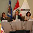 Primera Reuni&oacute;n del Grupo de Expertos sobre Desarrollo Alternativo Integral y Sostenible de la OEA se realiza hoy y ma&ntilde;ana, en Lima y Tingo Mar&iacute;a - Representantes de la OEA aprovechar&aacute;n esta cita para visitar&aacute; la zona de El Monz&oacute;n para conocer las experiencias exitosas de cultivos alternativos