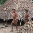 Per&uacute; es referente en protecci&oacute;n de los pueblos ind&iacute;genas en aislamiento - 