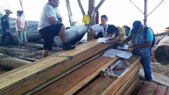 Ejecutan operativo contra el comercio ilegal de madera en Nauta - Loreto