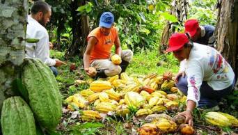 Amazonas: Productores de esta regi&oacute;n acceden a 12.5 millones de soles para impulsar 10 planes de negocios