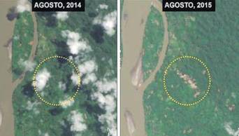 Deforestaci&oacute;n por miner&iacute;a ilegal avanza al norte de Amazonas