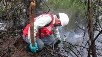 Avanzan tareas de limpieza y remediaci&oacute;n ambiental ante derrame de crudo en el kil&oacute;metro 213 del Oleoducto Norperuano
