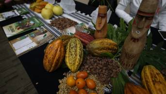 FERAGRO 2016 en regi&oacute;n Amazonas generar&iacute;a movimiento econ&oacute;mico de S/. 10 millones