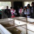 INIA capacita a productores en crianza tecnificada de cuyes en la regi&oacute;n Hu&aacute;nuco - 