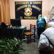 ATFFS y PNP encontraron orqu&iacute;deas abandonados valorizadas en m&aacute;s de S/ 15,000 en la carretera Central - 