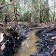 Petroper&uacute; reporta fuga de crudo en Oleoducto Nor Peruano - Loreto - 