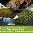 Lanzan Observatorio Amaz&oacute;nico de �reas Protegidas y Cambio Clim&aacute;tico - 
