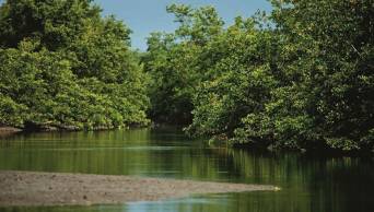 Per&uacute; y Ecuador gestan creaci&oacute;n de Reserva de Bi&oacute;sfera Transfronteriza