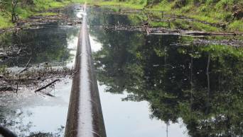 OEFA: se vertieron 4,040 barriles de petr&oacute;leo en &uacute;ltimos derrames en Loreto
