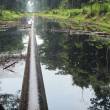 OEFA: se vertieron 4,040 barriles de petr&oacute;leo en &uacute;ltimos derrames en Loreto - 