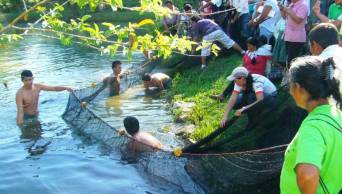 Madre de Dios ejecuta proyecto para conservaci&oacute;n de peces amaz&oacute;nicos