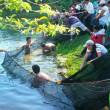 Madre de Dios ejecuta proyecto para conservaci&oacute;n de peces amaz&oacute;nicos - 