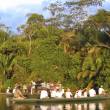 Carrera de Nat Geo compensar&aacute; con cr&eacute;ditos de carbono de Tambopata, en Madre de Dios - 