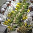 Agroexportaciones sumaron US$ 2,702 millones entre enero y julio, inform&oacute; el Ministerio de Agricultura y Riego (Minagri) - 