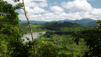 Planes de conservaci&oacute;n de bosques en ANP generan m&aacute;s de S/ 114 millones