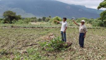 Datero Agrario ampl&iacute;a cobertura de productos de primera necesidad