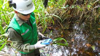 OEFA realiza investigaci&oacute;n sobre reciente fuga en oleoducto en Loreto