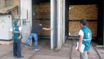 Inspeccionan empresas de tratamiento para embalaje de madera en la regi&oacute;n Ucayali
