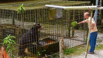 San Mart&iacute;n libera a ejemplar de oso de anteojos en la cordillera Escalera
