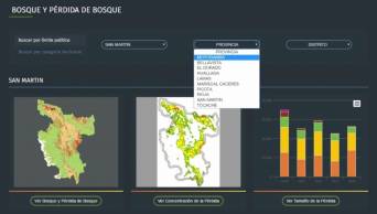 Con video animado explican c&oacute;mo utilizar la plataforma informativa Geobosques [VIDEO]