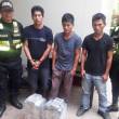 Polic&iacute;a decomisa 41 kg de clorhidrato de coca&iacute;na en la Selva central - 