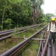 Oleoducto Norperuano es estrat&eacute;gico para "autoabastecimiento" de combustibles - 