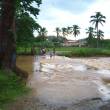 Lluvias moderadas a fuertes se presentar&aacute;n esta semana en la selva - 