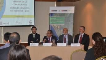 Presentan datos oficiales sobre cobertura y p&eacute;rdida de bosques h&uacute;medos amaz&oacute;nicos
