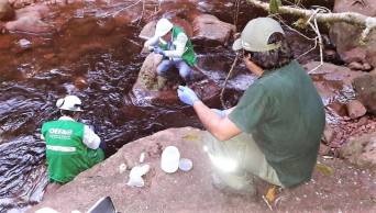 Investigan contaminaci&oacute;n de quebrada Sabaloyacu y r&iacute;o Caynarachi en la regi&oacute;n San Mart&iacute;n
